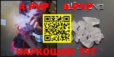 стаф Донской