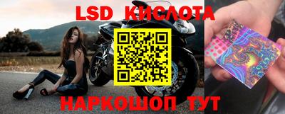 стаф Донской