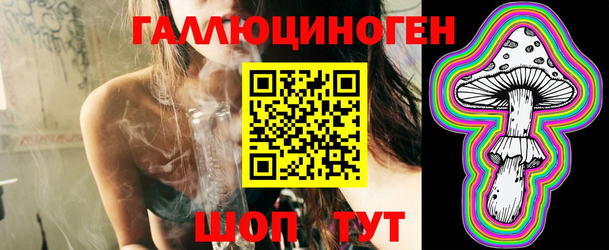 Галлюциногенные грибы Psilocybine cubensis Михайловка