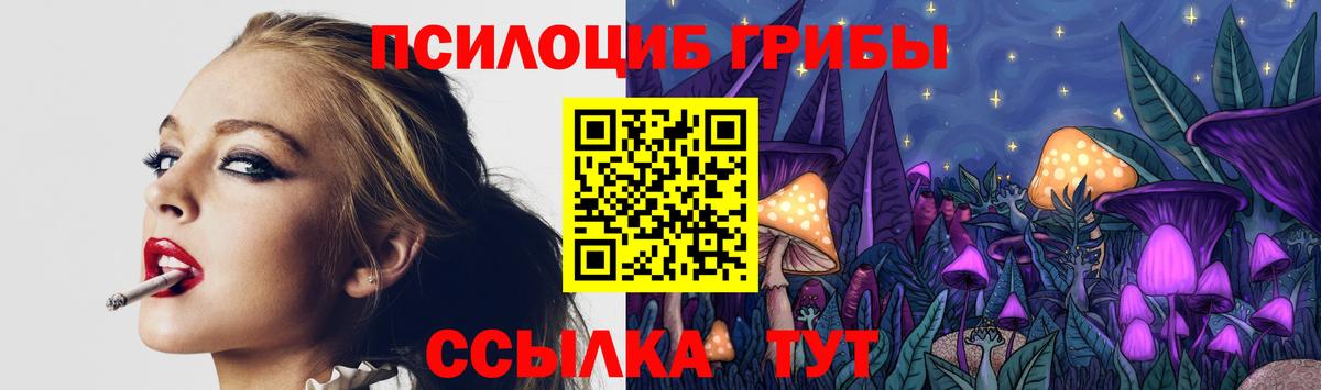Псилоцибиновые грибы Psilocybine cubensis  Вход с VPN  Михайловка  Галлюциногенные грибы Magic Shrooms 